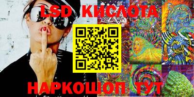 мдпв Кингисепп