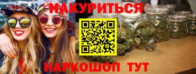 мдпв Кингисепп