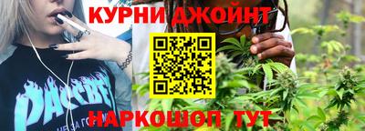 мдпв Кингисепп