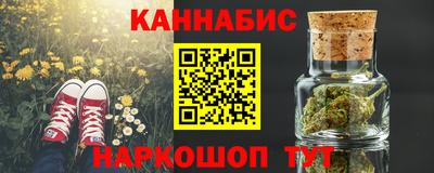 мдпв Кингисепп