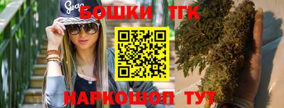 мдпв Кингисепп