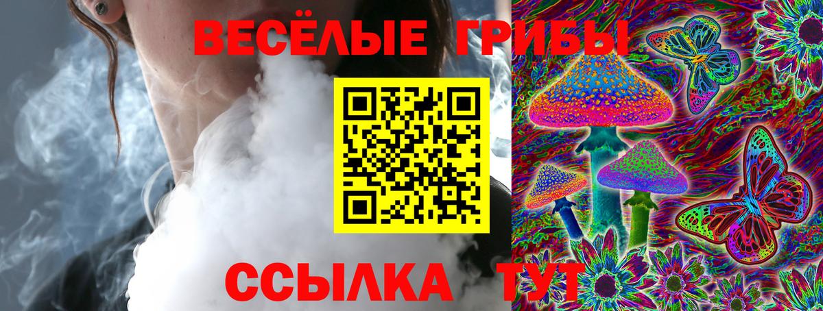 Ленинск-Кузнецкий  Псилоцибиновые грибы GOLDEN TEACHER  Псилоцибиновые грибы ЛСД  Вход с VPN 